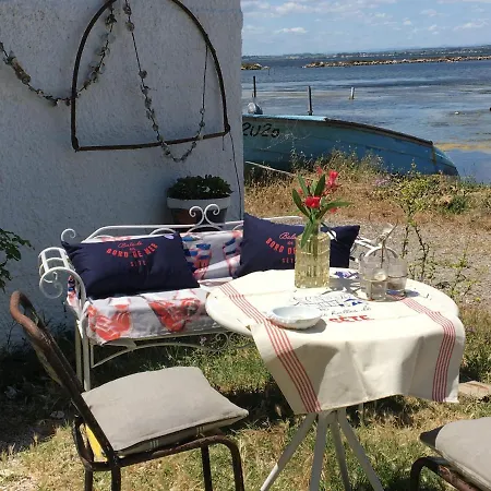 Cabanon De Pecheur En Bord De Lagune Sète