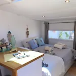 Cabanon De Pecheur En Bord De Lagune