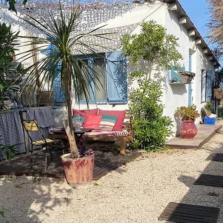 Cabanon De Pecheur En Bord De Lagune * Sete