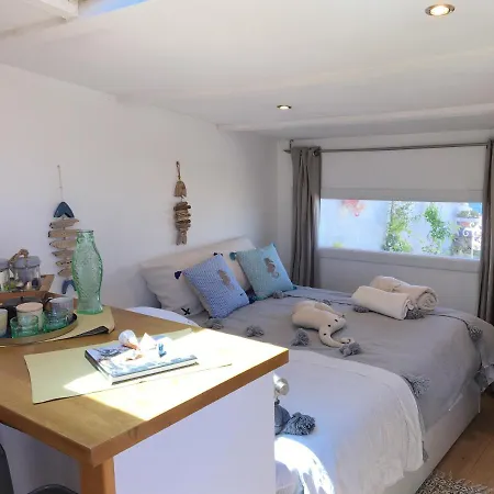 Cabanon De Pecheur En Bord De Lagune